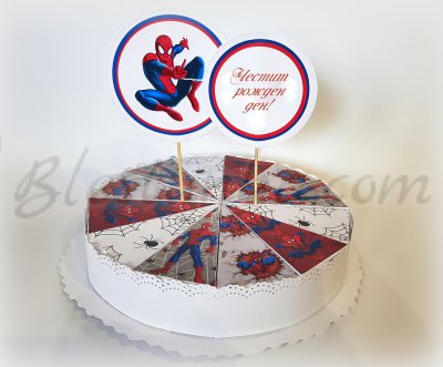 Paper cake "The spider"