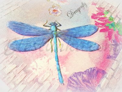 Canvas "My dragonfly"