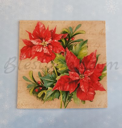 Christmas card "Poinsettia"